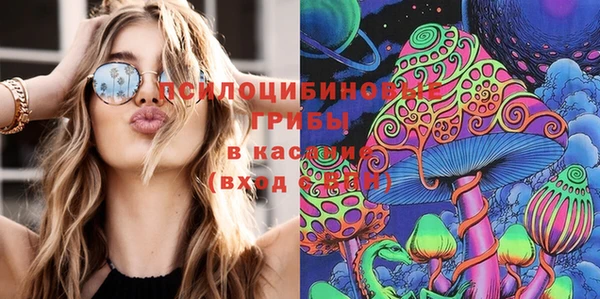 МДМА Заводоуковск